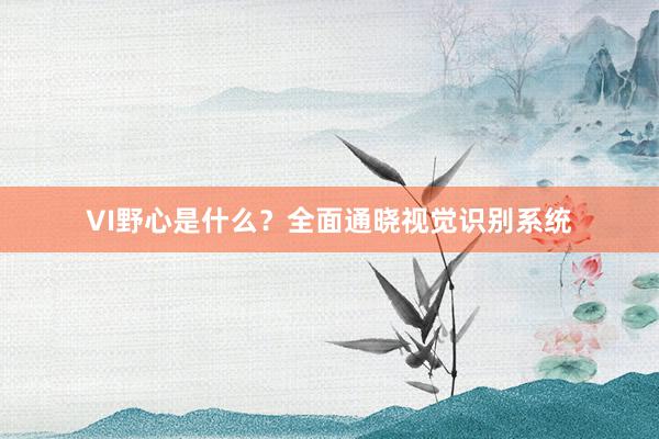 VI野心是什么?全面通晓视觉识别系统