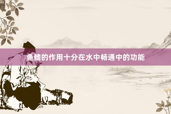 鱼鳍的作用十分在水中畅通中的功能